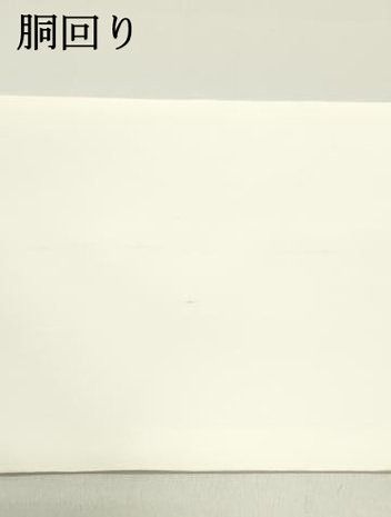  平和屋着物 塩瀬 九寸開き名古屋帯 作家物 手描き 枝椿文 生成り色 金彩 正絹 ob 名古屋帯 帯