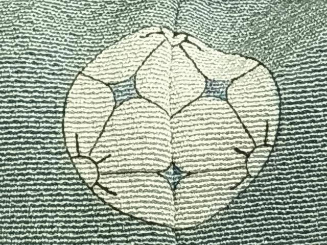 平和屋着物 上質な色無地