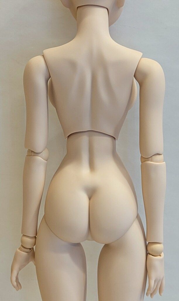  ボークス DD Shining Blade サクヤ 人形本体 ドルフィードリーム