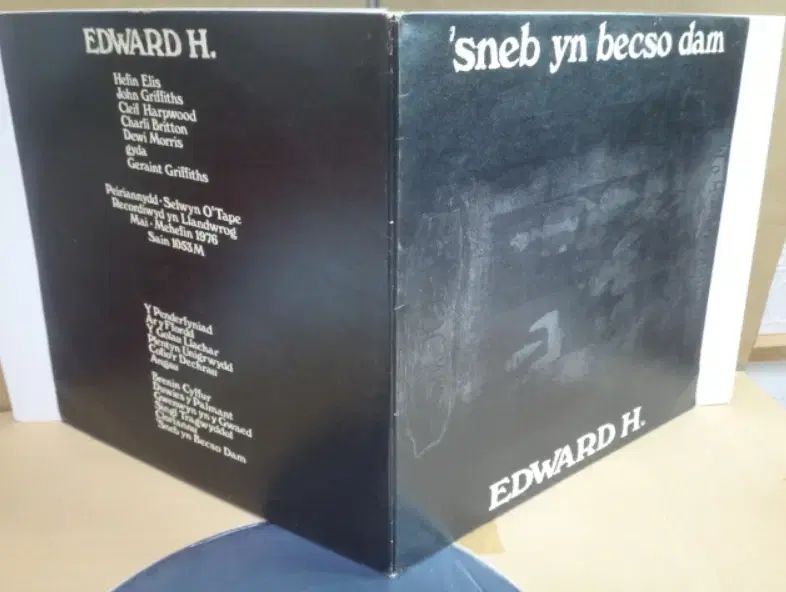 UK LP Edward H Dafis ー 1976 年 早い