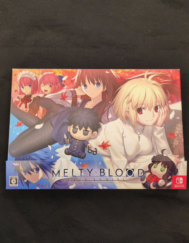 MELTY BLOOD 読本 サントラ MELTY BLOOD SOUND COLLECTION MELTY BLOOD