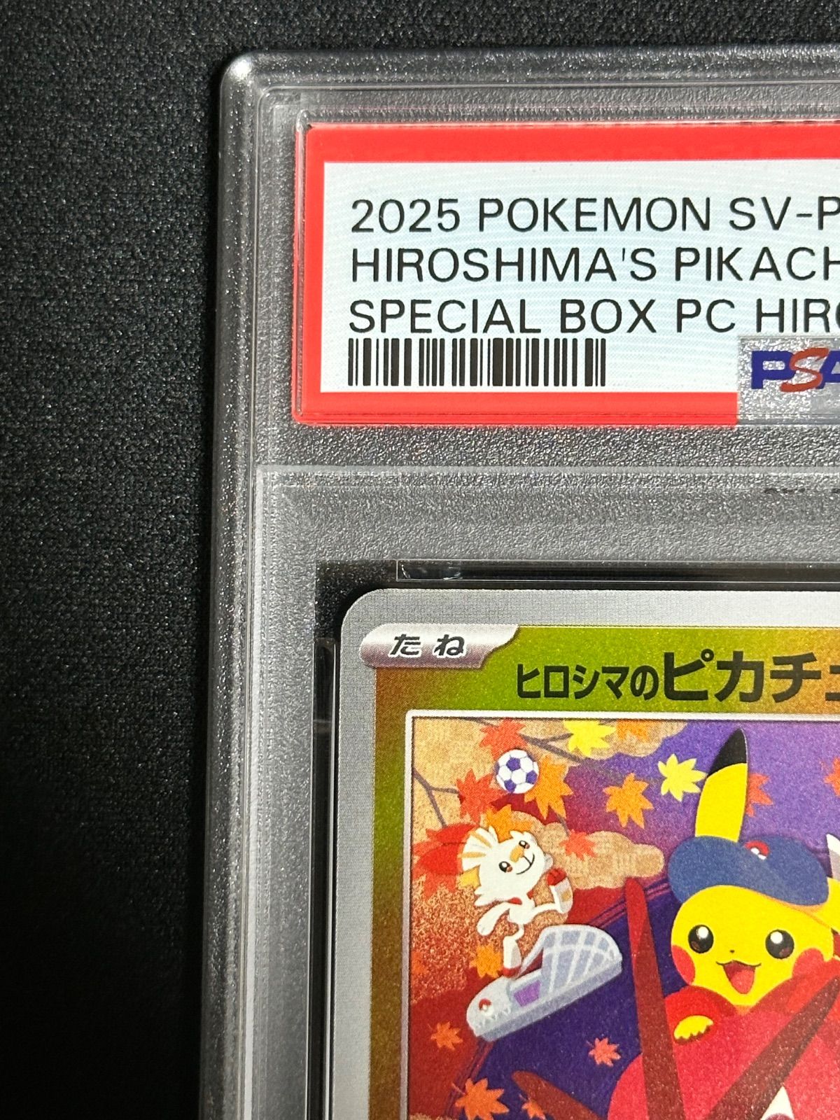 PSA10連番】ヒロシマのピカチュウ P [SV-P 261](スペシャルBOX