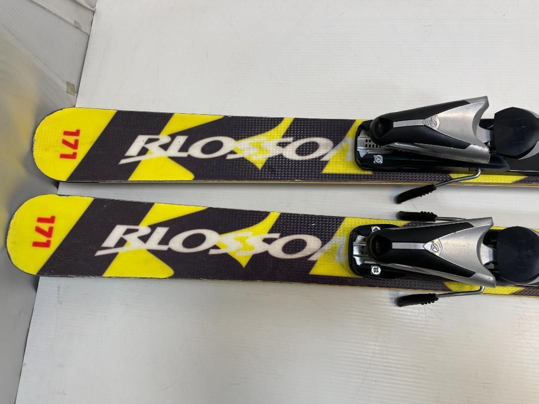 ◆レア スキー BLOSSOM BELUGA 171 カービングスキー スキー板 ◇ スキー BLOSSOM BELUGA 171 cm + TYROLIA SL 100 カービングスキー