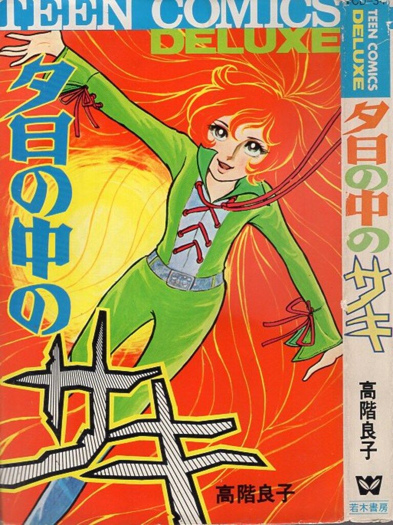高階良子　12冊　まとめて 高階良子 12冊 まとめて 高階良子 - メルカリ