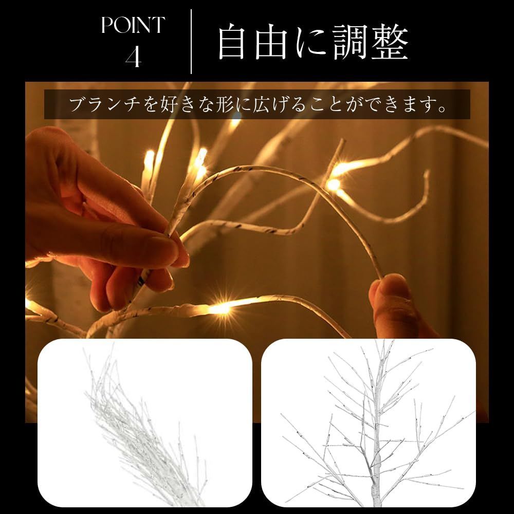 木枝 ブランシェ