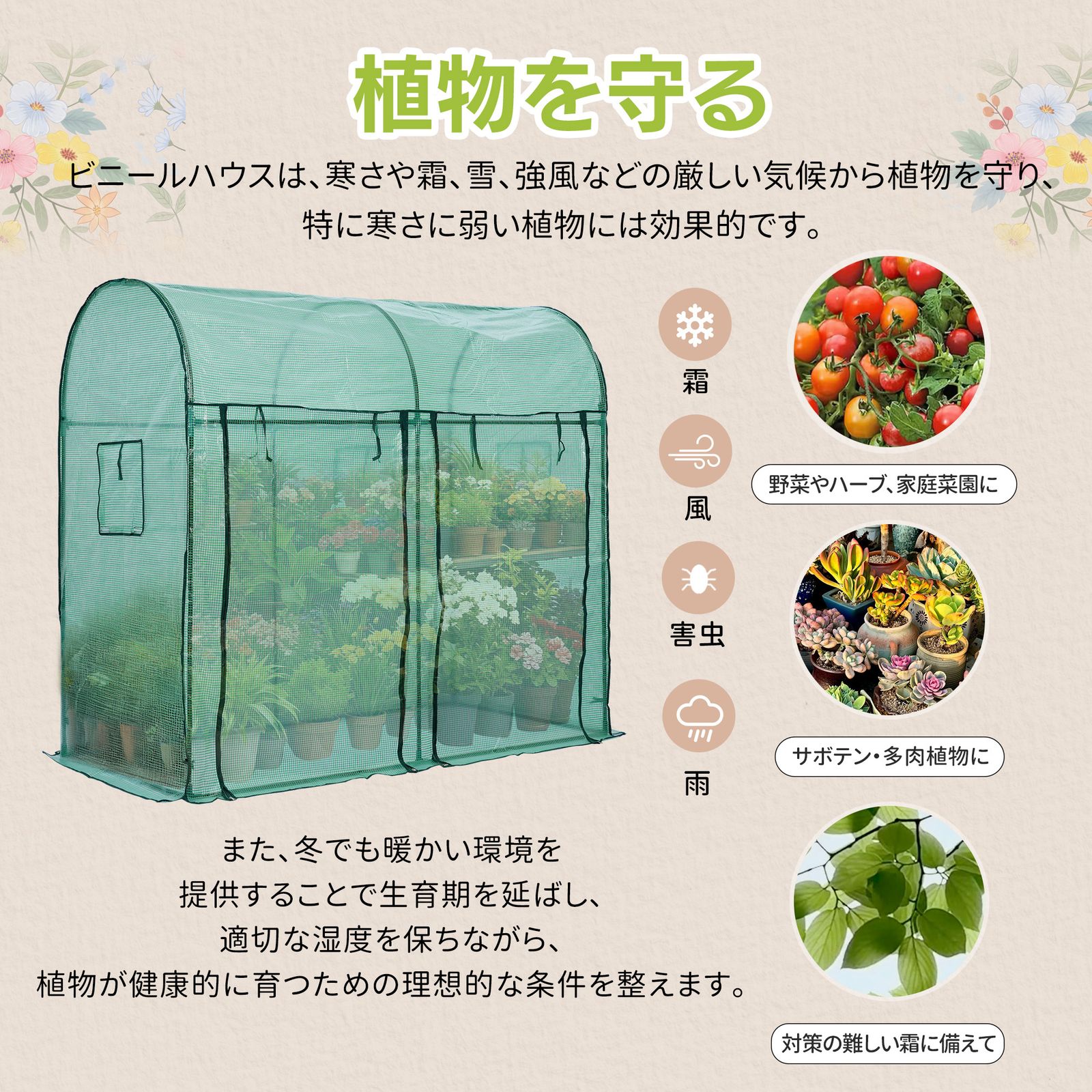 数量限定セール」 ビニール温室 大型 W200cm×D101cm×H180cm 温室