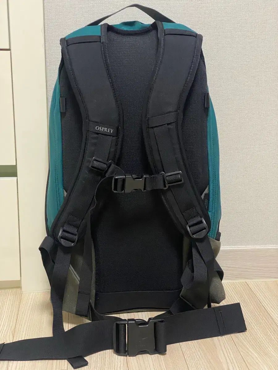 オスプレイ OSPREY ヘリテイジ 20 L リュック