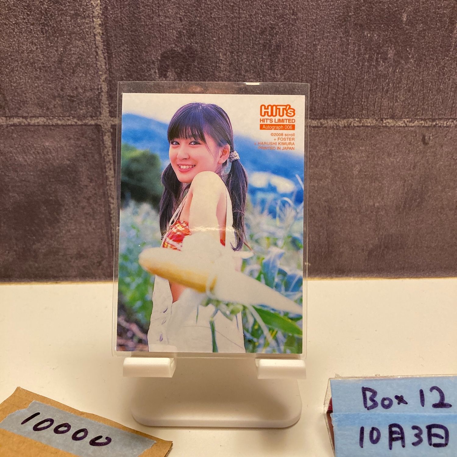 2008 HIT'S LIMITED 水沢奈子 31/50 直筆サインカード フォスター