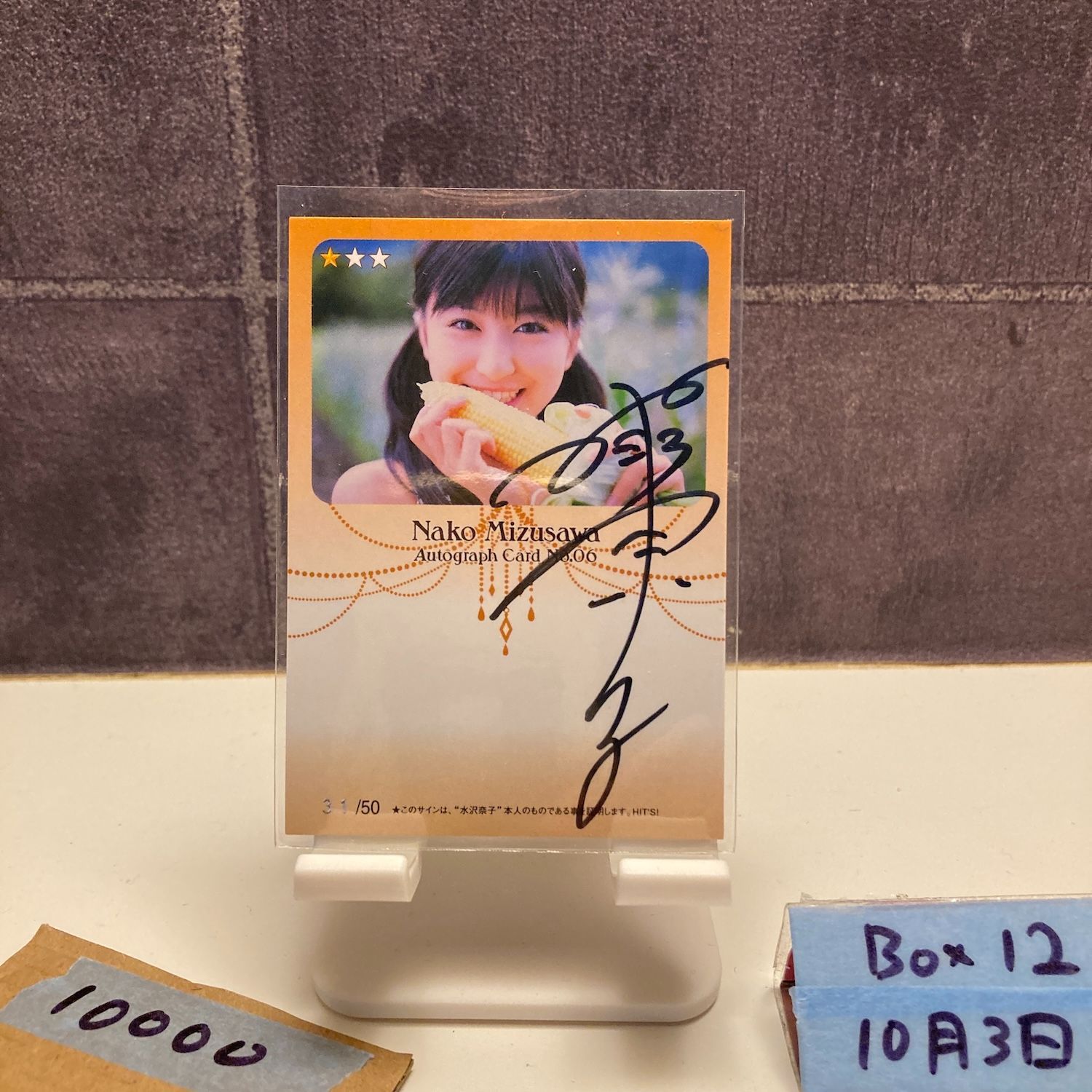 2008 HIT'S LIMITED 水沢奈子 31/50 直筆サインカード フォスター