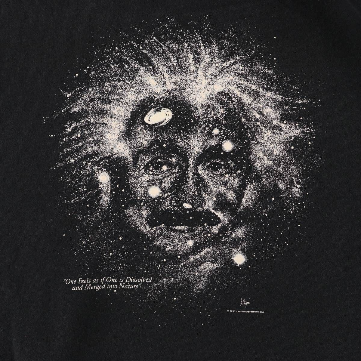 古着 90年代 フルーツオブザルーム FRUIT 節約 OF THE LOOM EINSTEIN