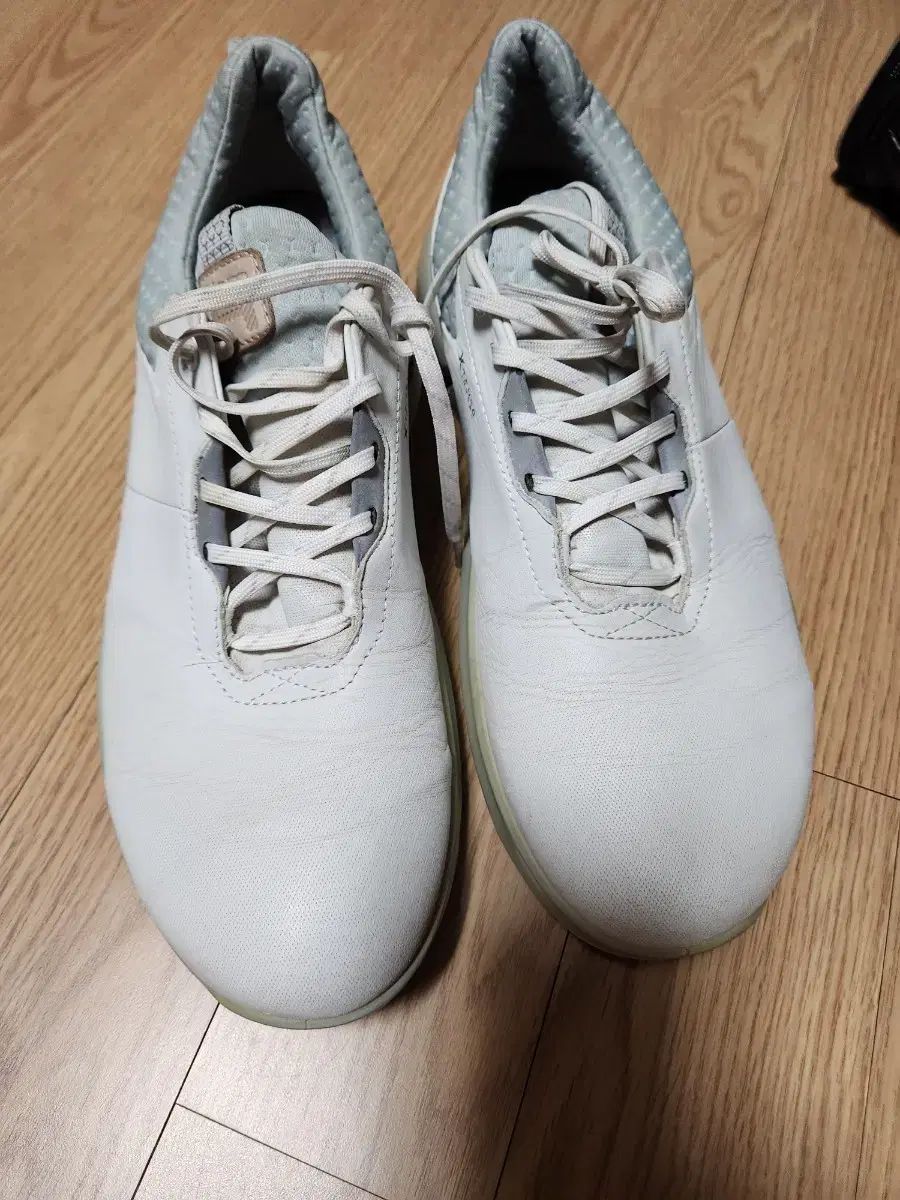 Ecco エコー 白 ゴルフシューズ