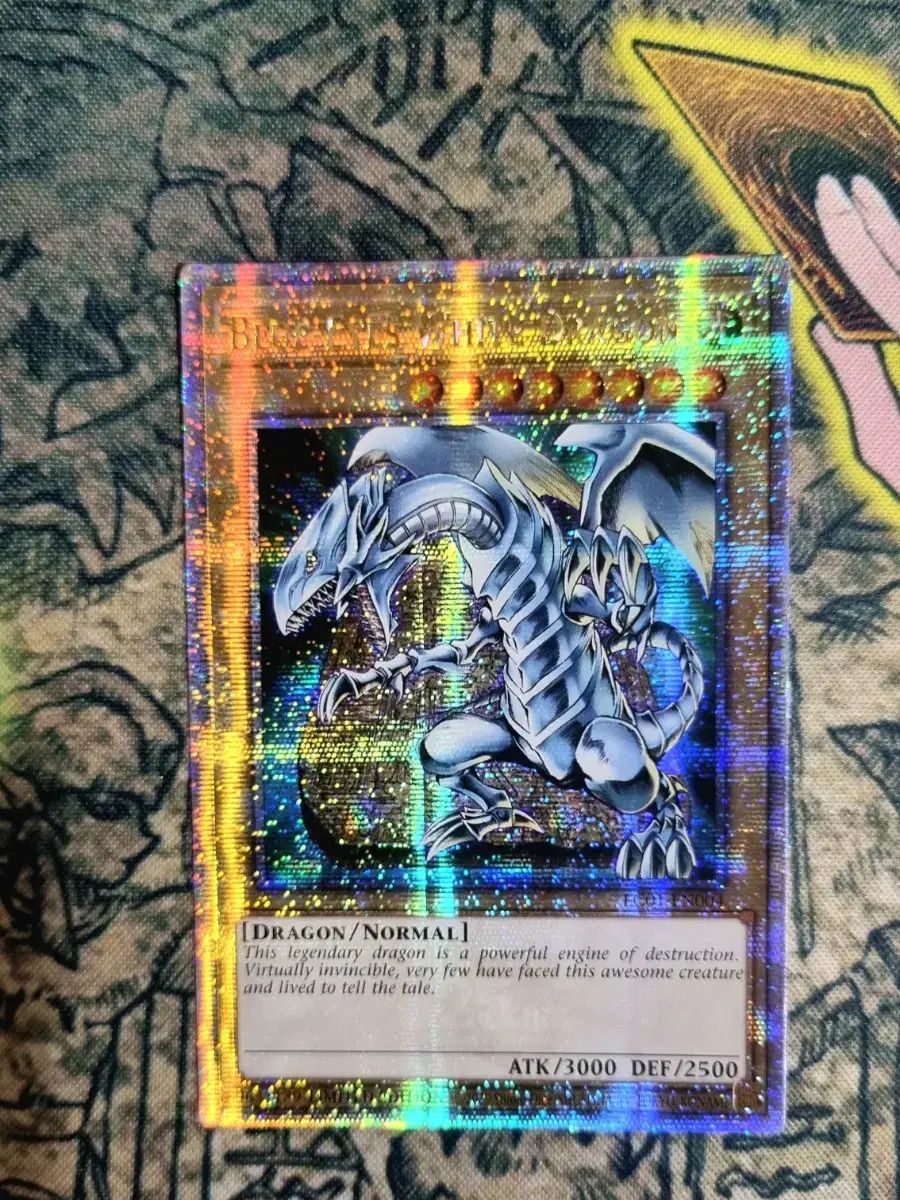 プーさん 눈のバッグ 쿼터シークレット LC 01 EN 004 遊 戯 王 石版