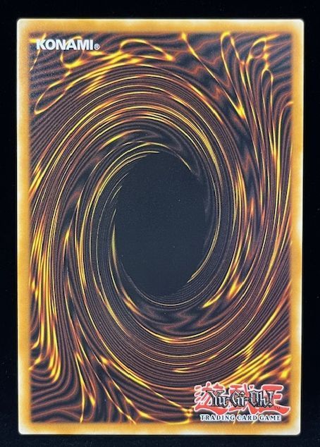 遊戯王 英語 北米版 黒薔薇の破滅竜 スターライトレア 1st - メルカリ