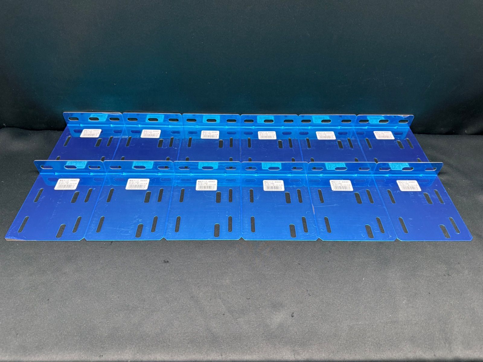 アウトレット 北の蝦夷赤松 中型苗木 アカエゾマツ苗 2寸ポット - 岩崎