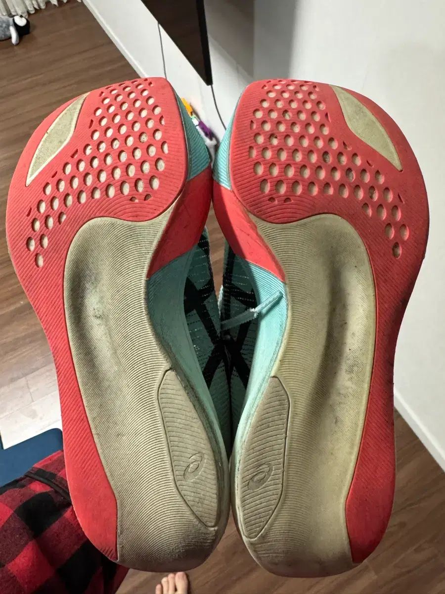 アシックス メタスピード スカイ パリ 255