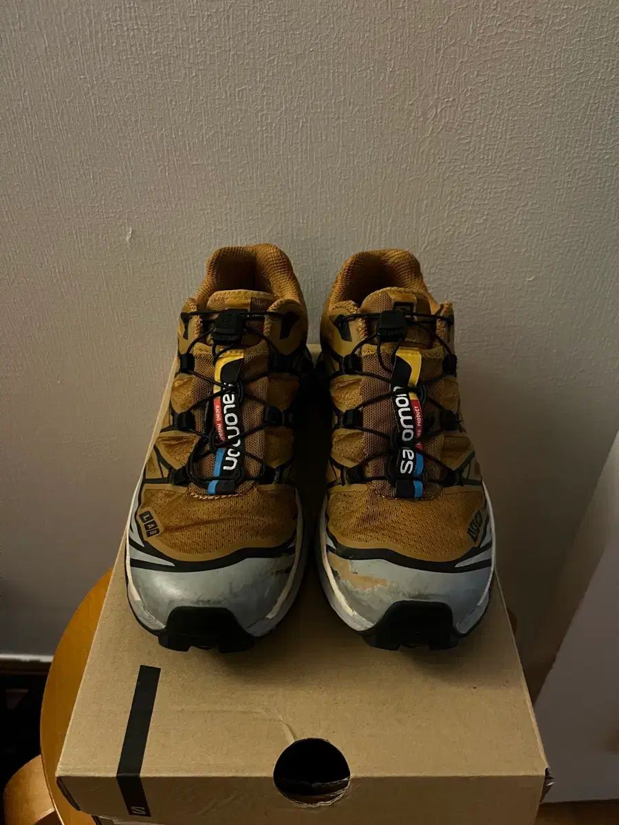 スパイファミリー