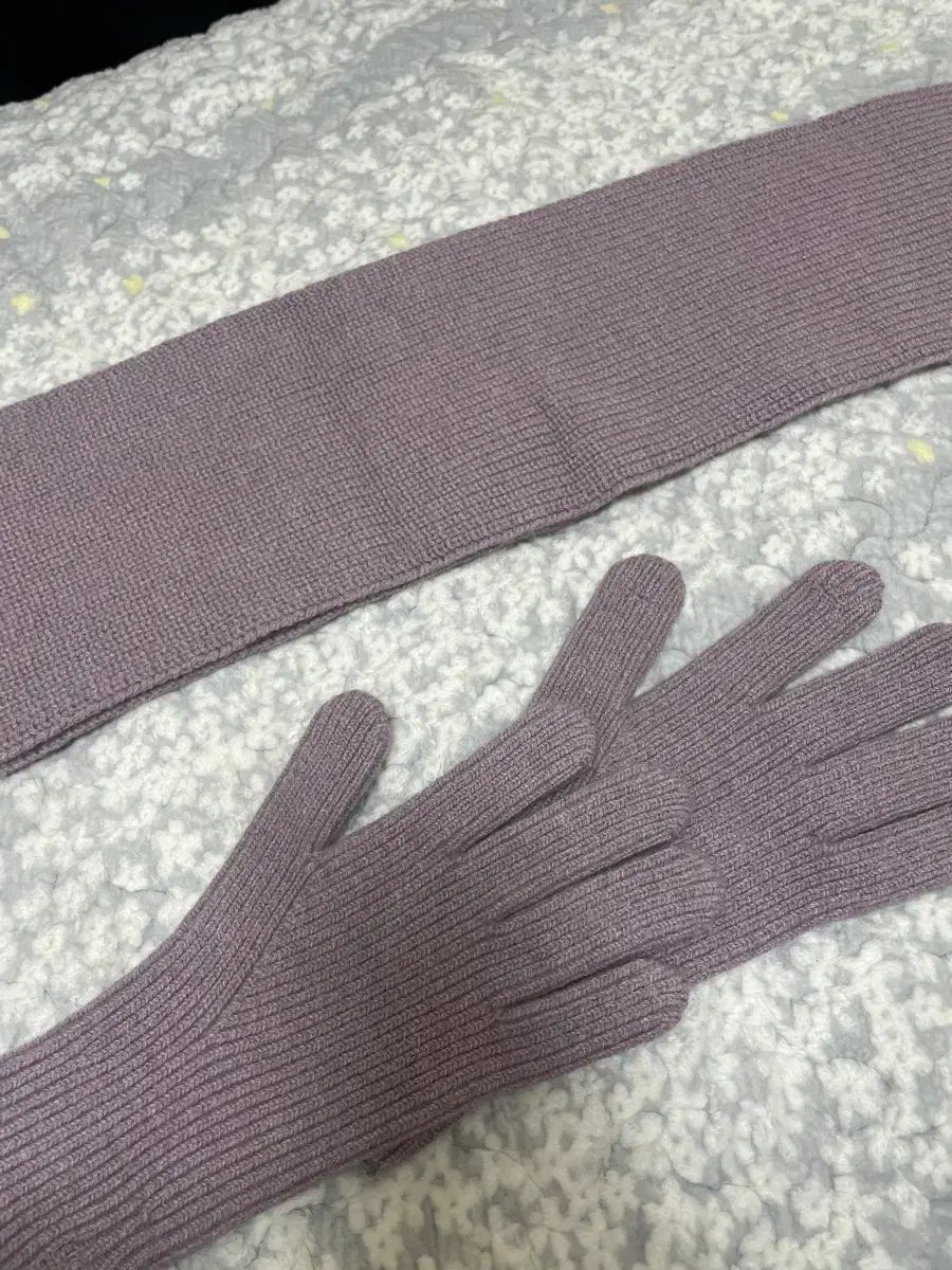 ホーリーサン 手袋 マフラー ラベンダー カラー