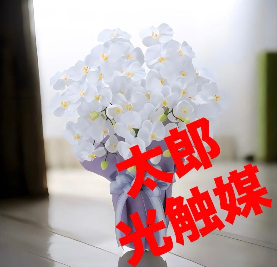 光触媒　人工観葉植物　ウォールグリーン　フェイクグリーン　リアル胡蝶蘭70gg 光触媒 人工観葉植物 ウォールグリーン フェイクグリーン フラワー