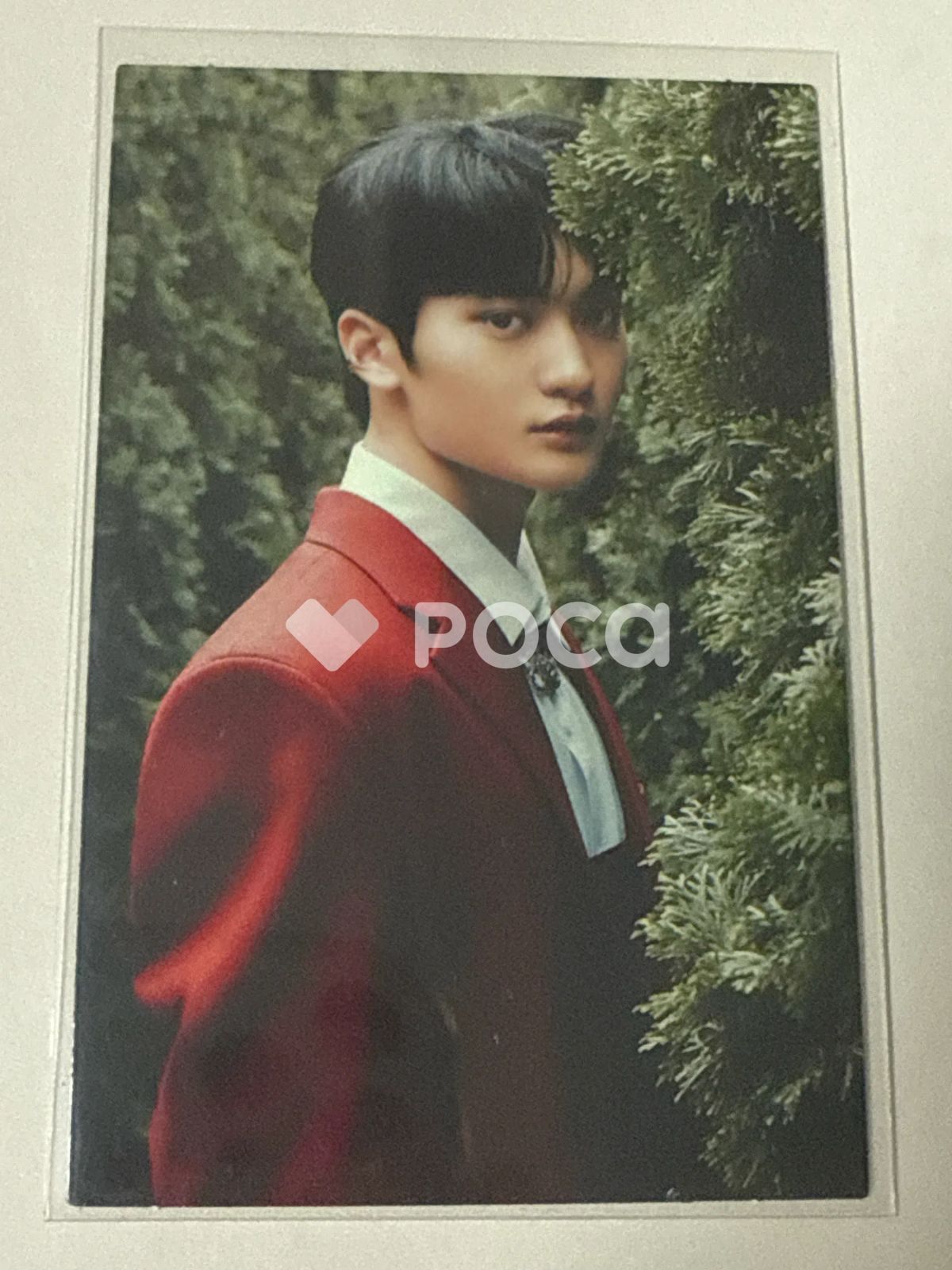 CRAVITY テヨン SUN SEEKER SECRET CARD - メルカリ