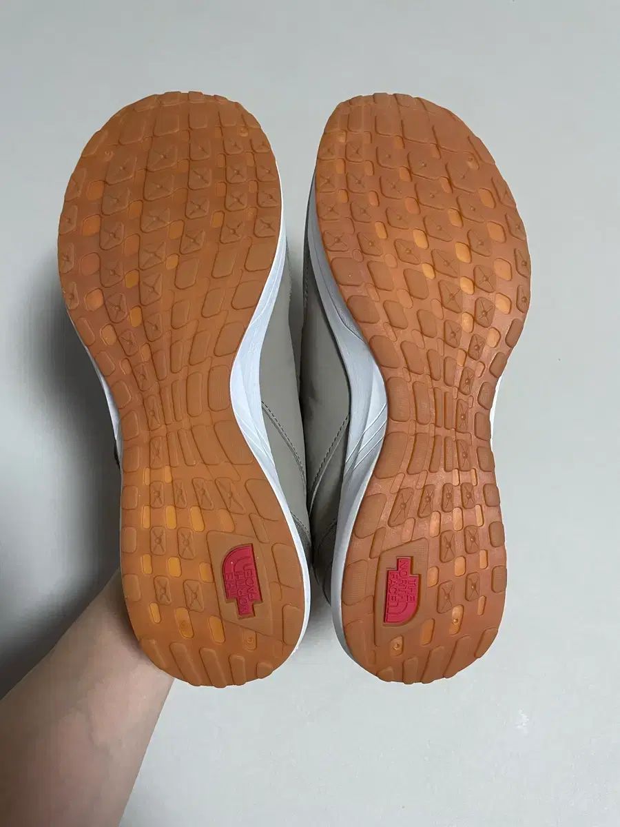 ザノースフェイス スピード モーション BoA スニーカー ベージュ 270