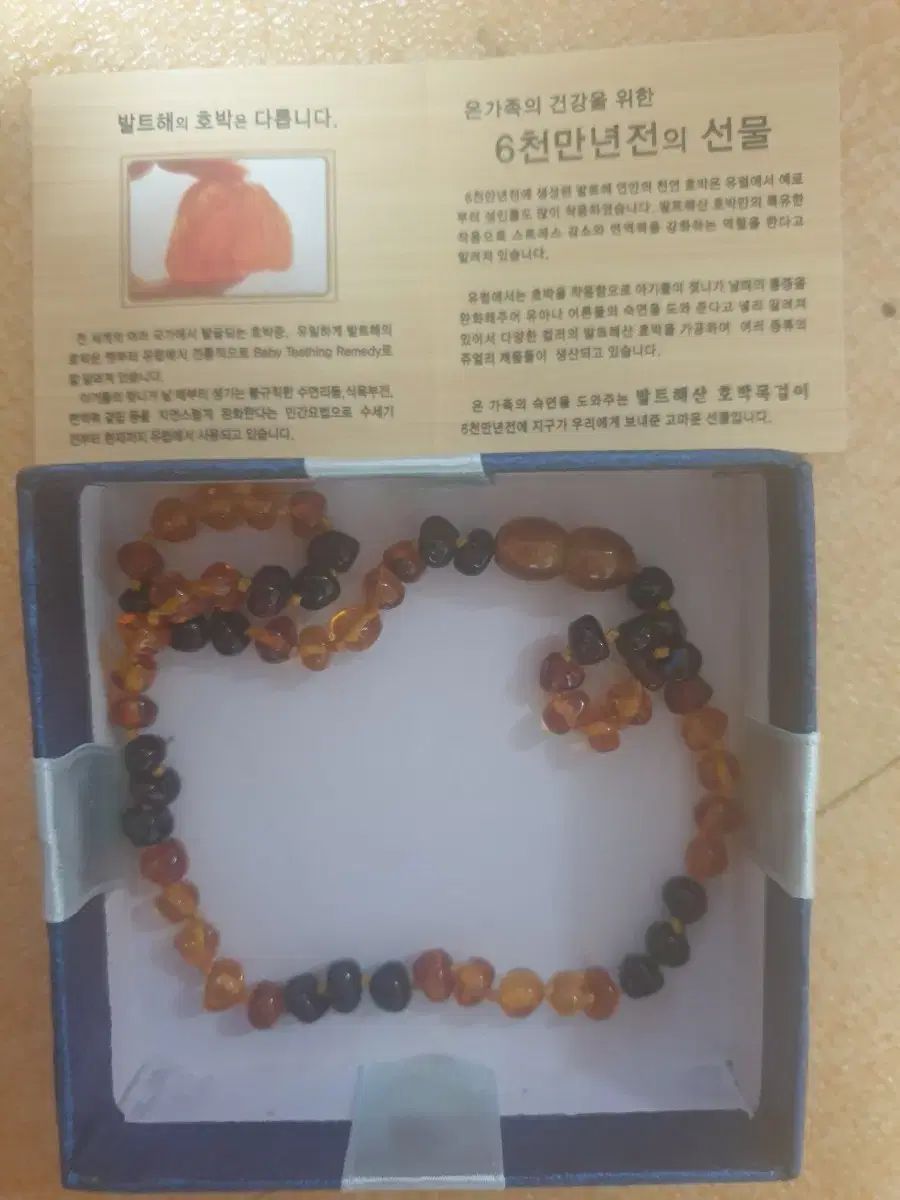 バルト海カボチャネックレス ユア YOOA Girl