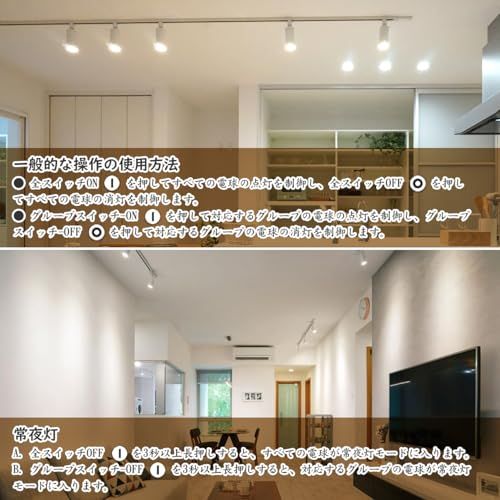  ダクトレール用スポットライト セット ブラック 6 W 60 W相当 E 11口金 LED内蔵 調光調色 リモコン付 2.4 GHz対応 北欧風デザイン 角度調整350度 取付簡単 天井 壁面取付 電球色 昼白色切替 省エネ 屋内照明 472 a 0415 プラスチックザル その他 キッチン 食器