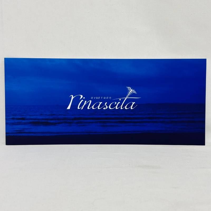 ほぼ未開封 今井麻美 コンプリートアルバム rina ＆ cita Blu-ray 付