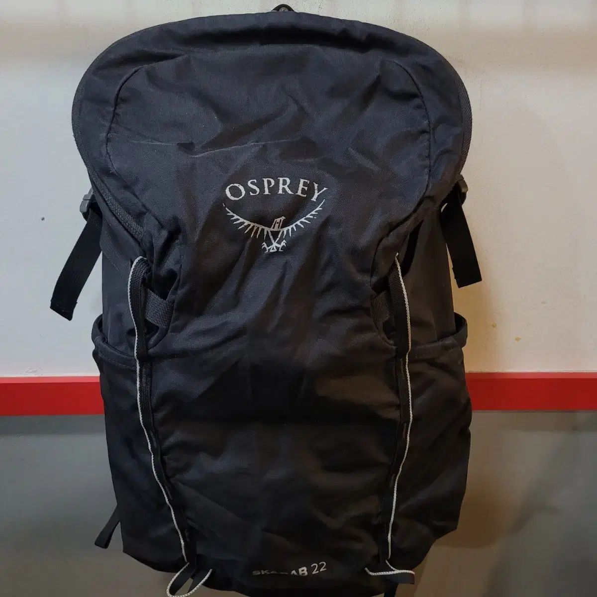 オスプレイ OSPREY SKARAB 22 バックパック