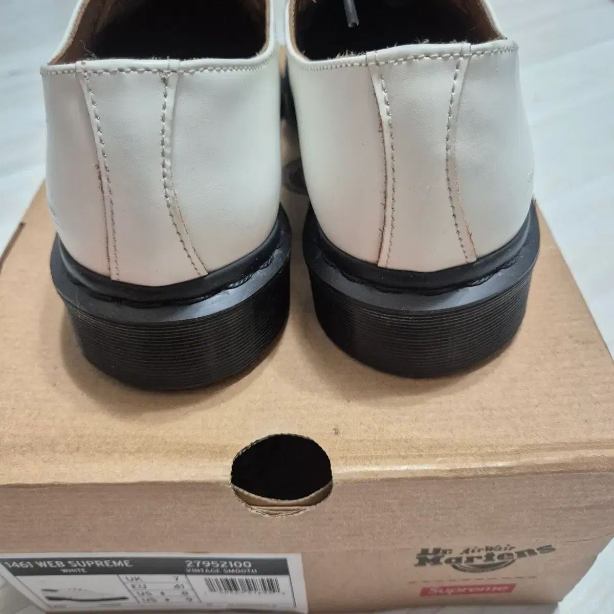 シュプリーム スパイダーウェブ