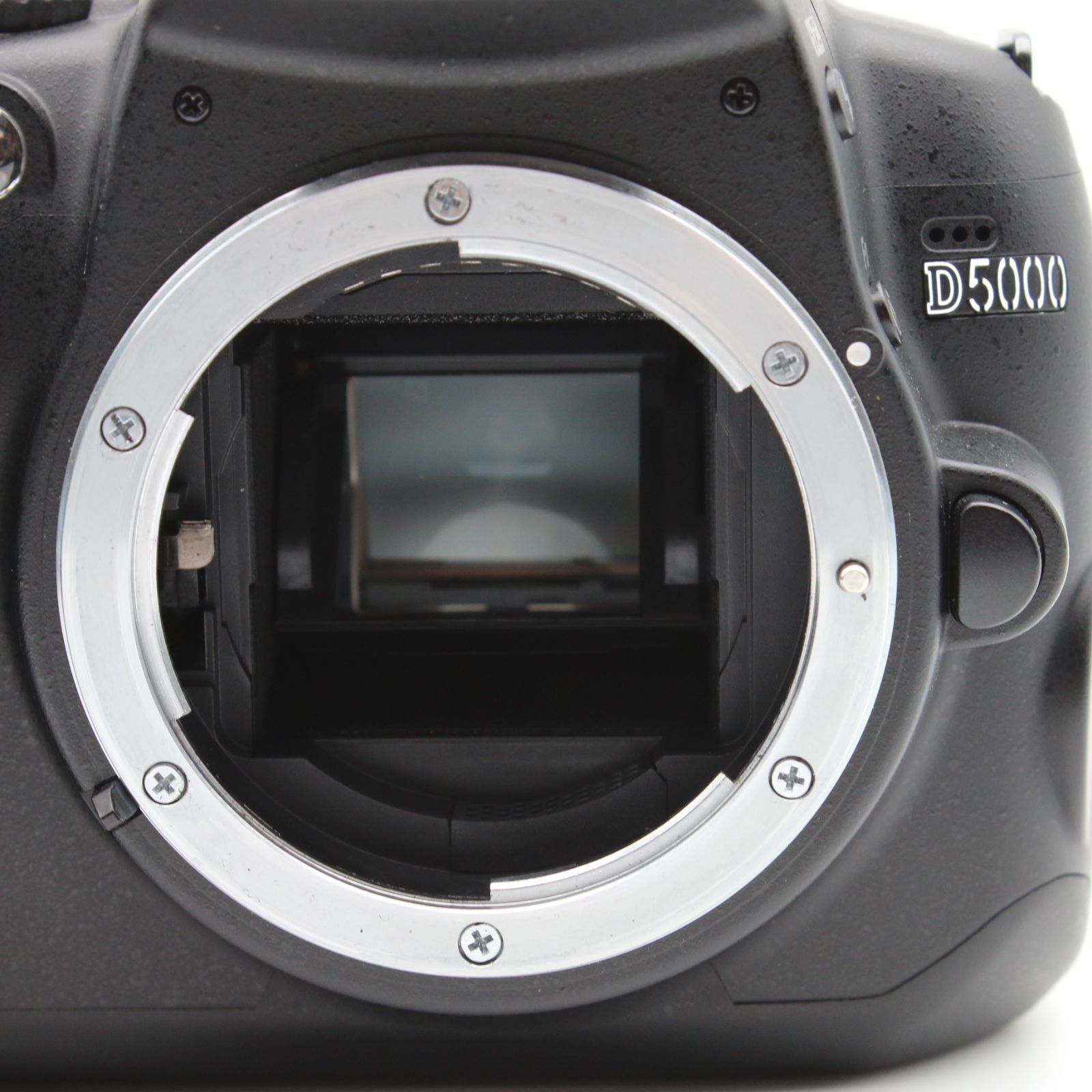 極上品】Nikon D5000 ダブルズームキット - メルカリ