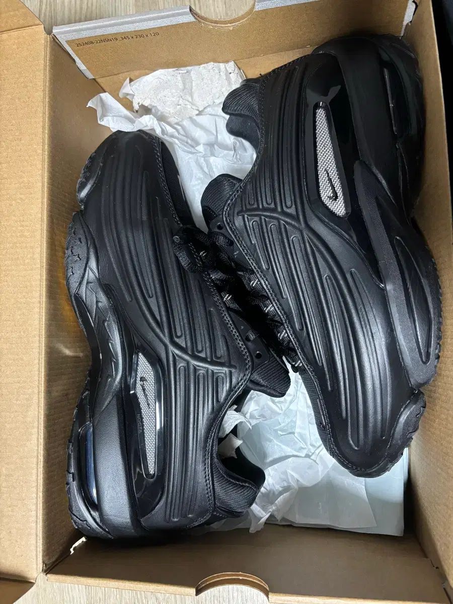 みーの 同梱 2点セット Nocta HOT Face the Sun ステップ 2 270