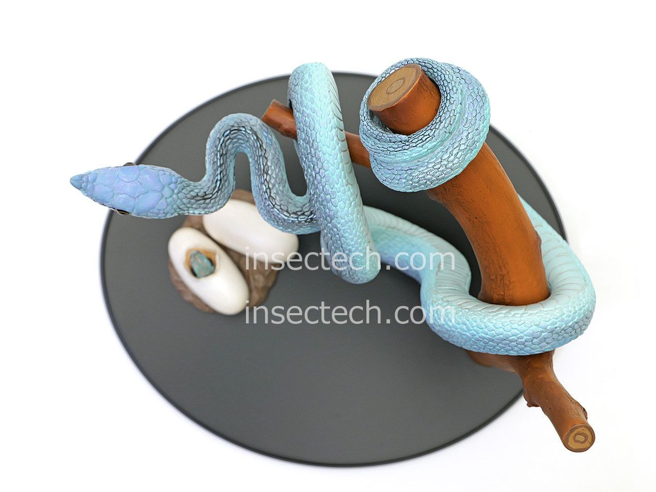 新！【動物の惑星 写実シリーズ】第二弾 初回卵幼体付属 バロンコダマヘビ