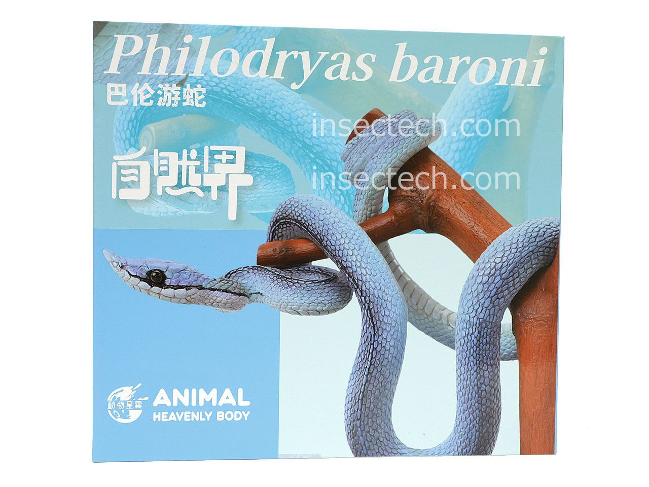 新！【動物の惑星 写実シリーズ】第二弾 初回卵幼体付属 バロンコダマヘビ