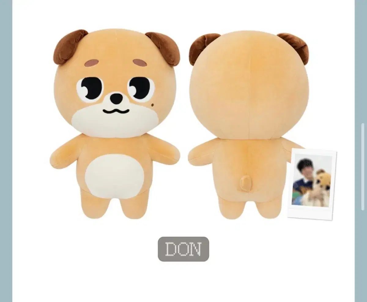 チェキ ポラロイド 含む ジャイアント デメル ドン