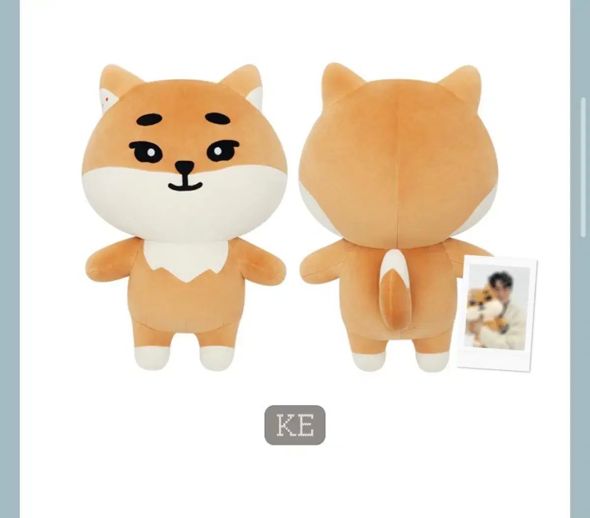 チェキ ポラロイド 含む ジャイアント デメル ケ