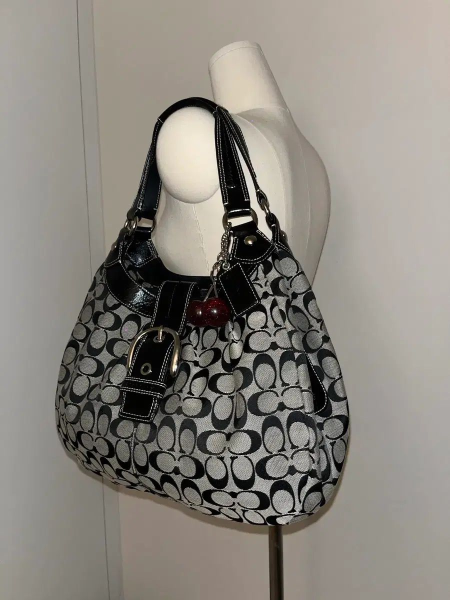 ブラックフライデー Coach b-w bag