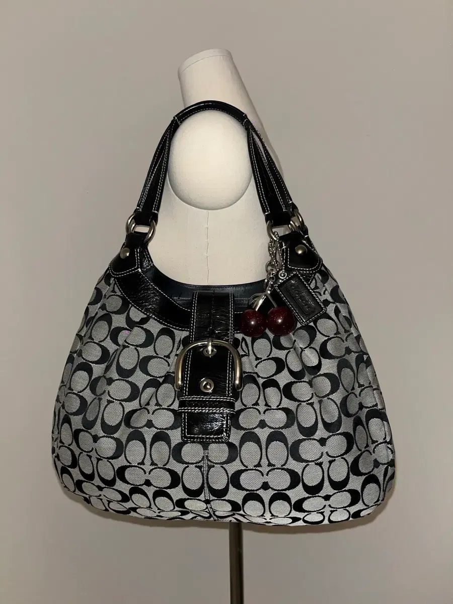 ブラックフライデー Coach b w bag