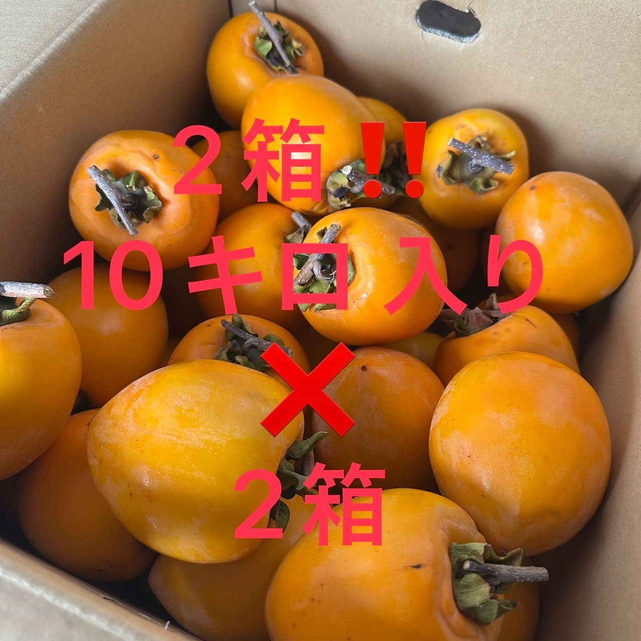 業界最安値⭐️20キロ‼️約70玉 愛宕柿 干し柿用