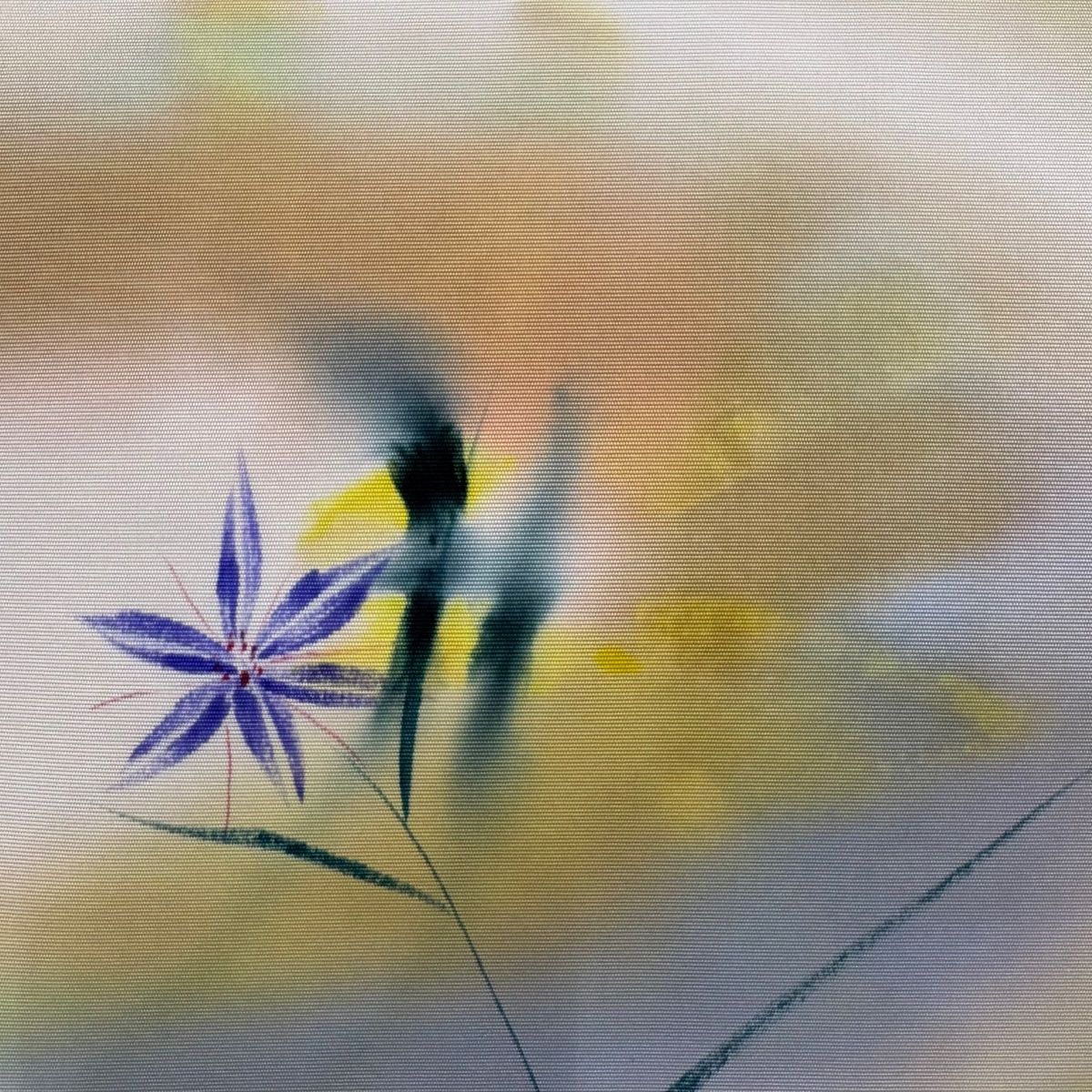 名古屋帯 秀品 落款 草花 ぼかし 薄黄土色 正絹