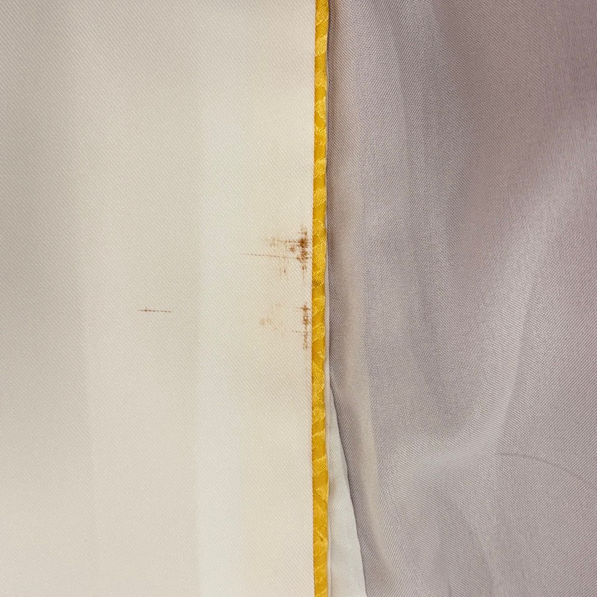  振袖 身丈169 5 cm 裄丈68 L 袷 草花 花びら 金彩 染め分け 赤 正絹 振袖 着物