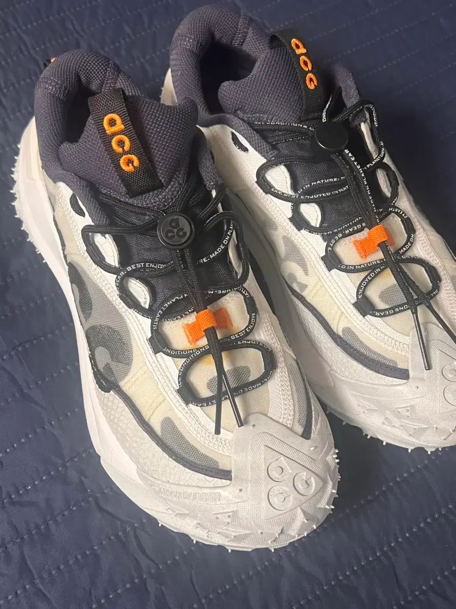 ACGマウンテン フライ2 260