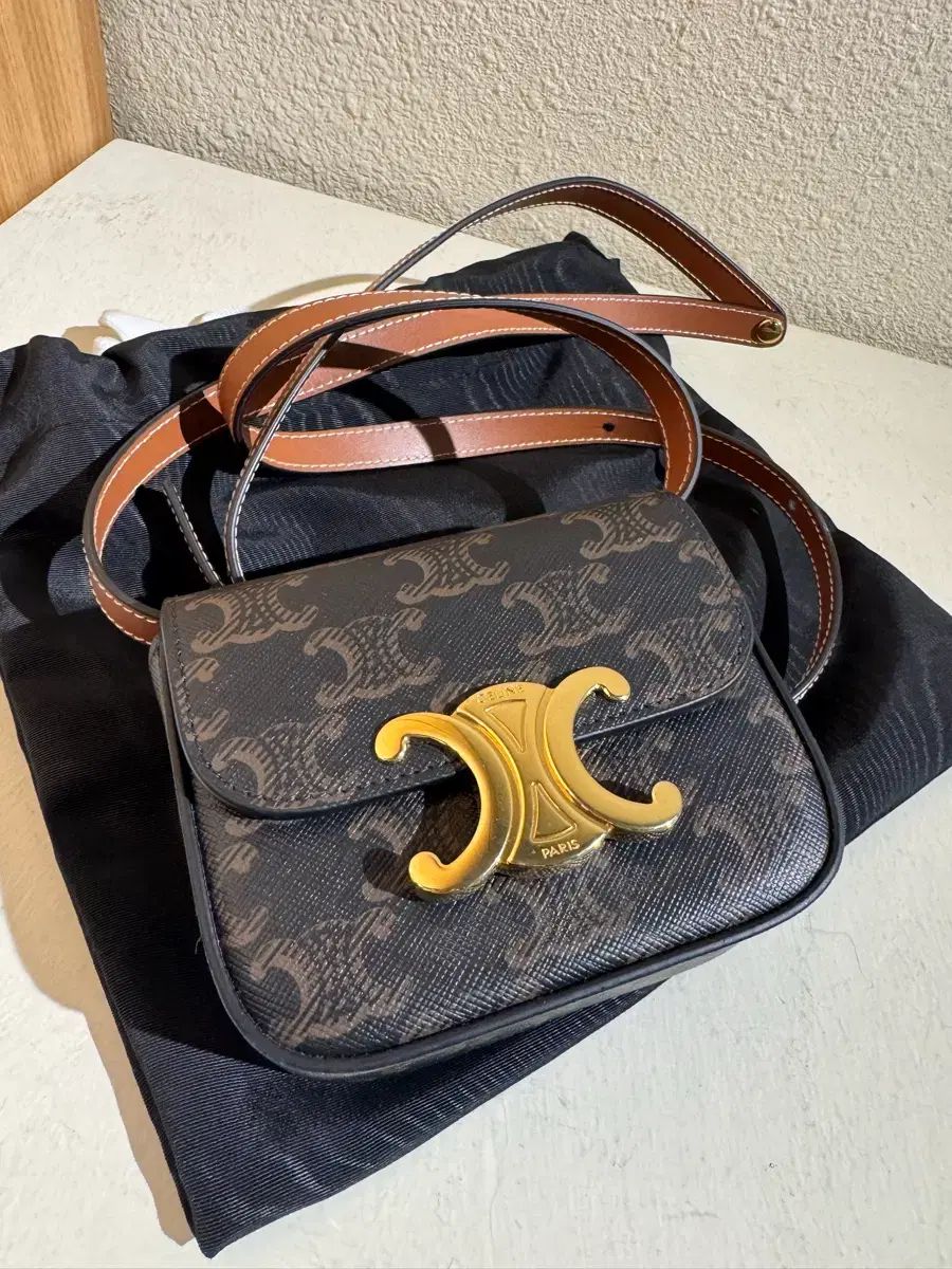 Celine Triomphe Canvas Mini Claude