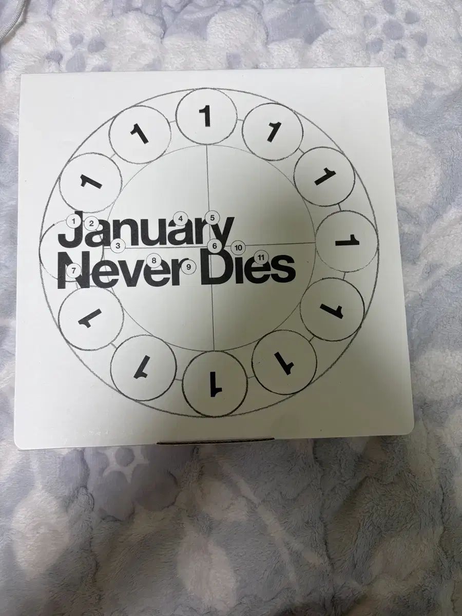 ベイミングタイガー サン ブッダ 開封