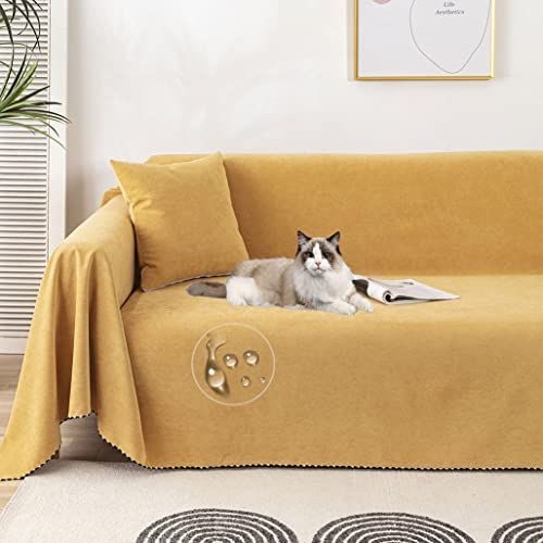 ネガティブエネルギー変換】希少！レムリアンブルーカルサイト⭐N151