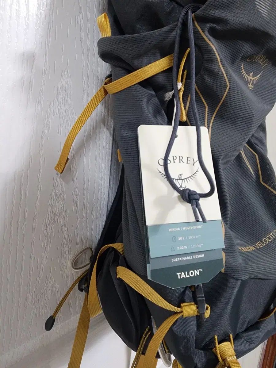 オスプレイ OSPREY タロン ベロシティ 30 リュック