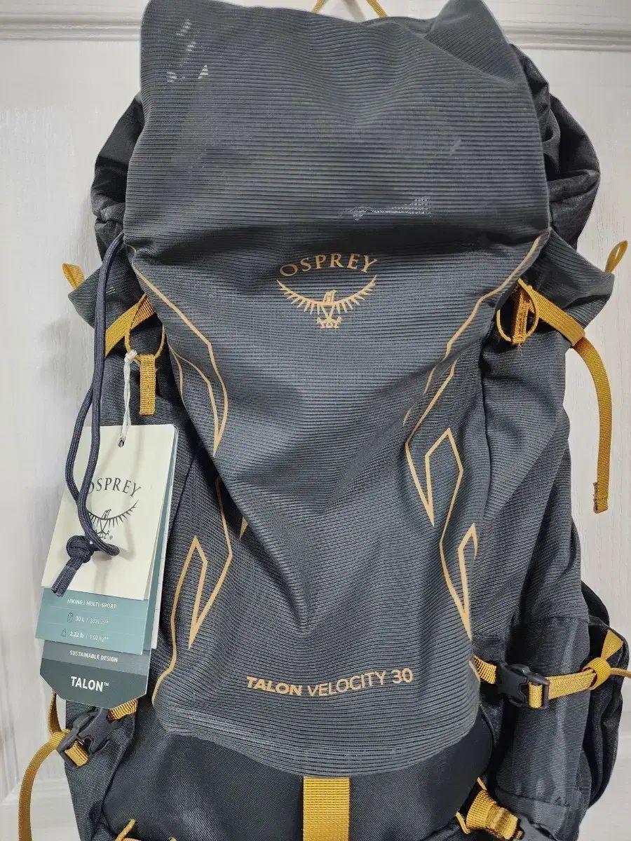 オスプレイ OSPREY タロン ベロシティ 30 リュック