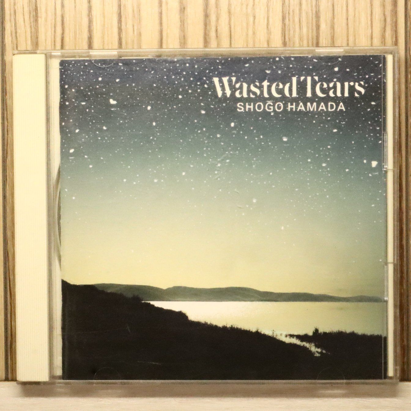 国内盤CD☆浜田 省吾/Shogo Hamada□ WASTED TEARS 【32DH5269