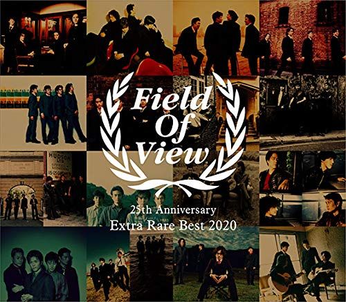 25周年BEST ALBUM FIELD OF VIEW 25 th Anniversary Extra Rare Best 2020 品