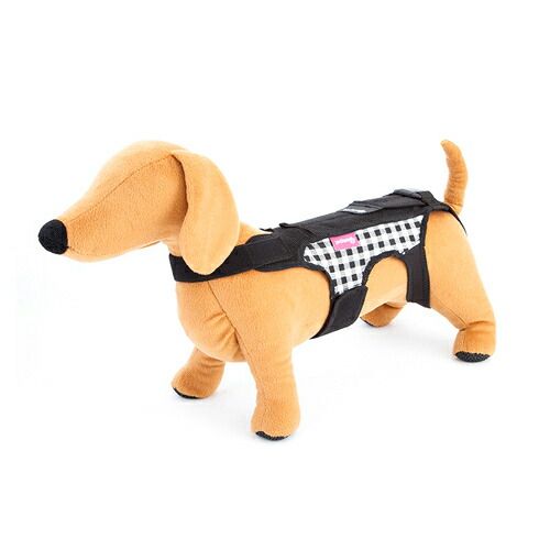 お取り寄せ コムペット ホロノアサポーター チェックSサイズ S チェック