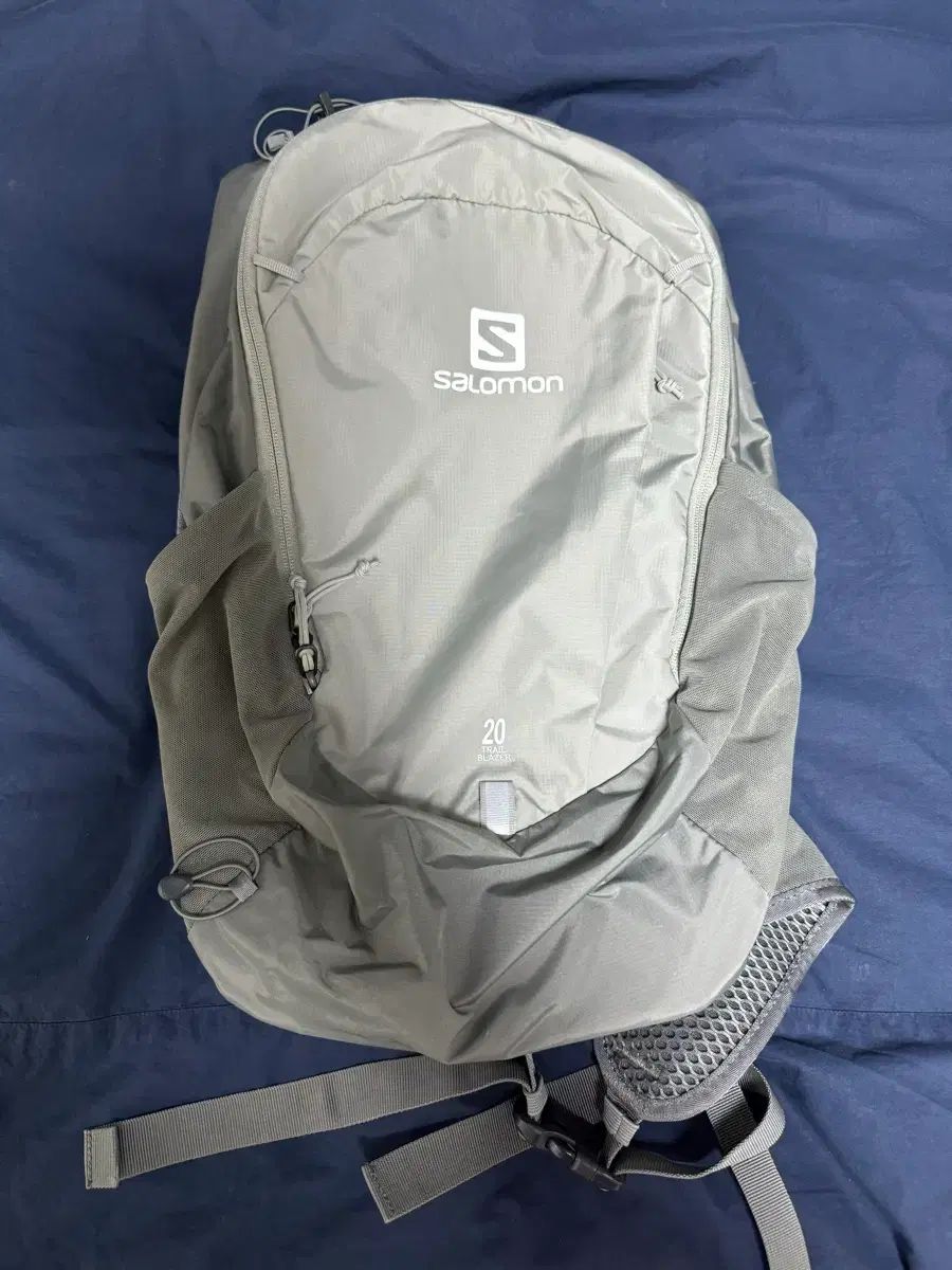 SALOMON サロモン トレイルブレーザー 20 アイアン セドナ セージ